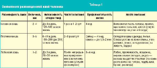 Основные виды вшей, обитающих в квартире