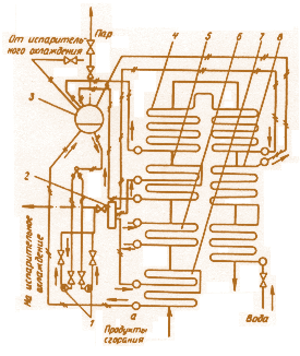 Рис. 2.17. Принципиальная схема котла КУ-80-3: 1 – циркуляционный насос; 2 – шламоотделитель; 3 – барабан; 4 – третья испарительная секция; 5– вторая испарительная секция; 6 – пароперегреватель; 7 – первая испарительная секция; 8 – экономайзер