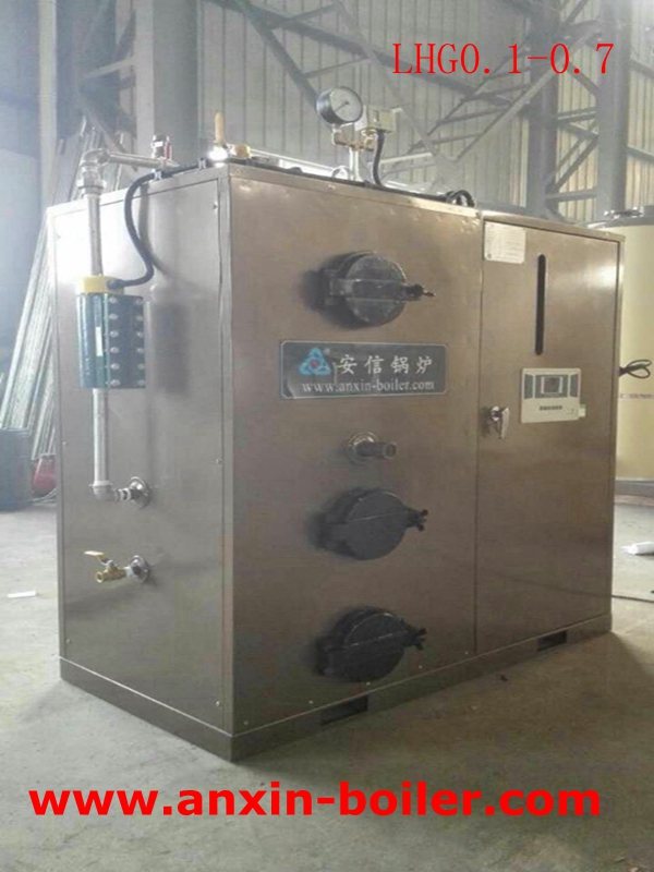 Vertical Biomass Steam Boiler