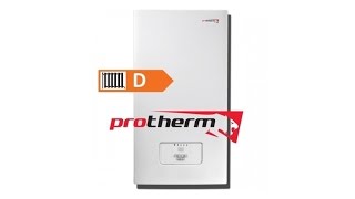 Ray Protherm Cazan electric