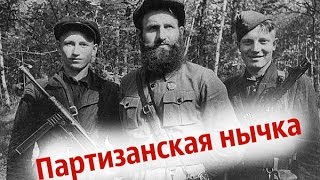 Курляндский котёл - коп по войне - Партизанская нычка!