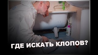 Как БОРОТЬСЯ и просто ИЗБАВИТЬСЯ от КЛОПОВ в КВАРТИРЕ!? Гнездо КЛОПОВ!