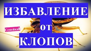 Как избавиться ОТ КЛОПОВ в квартире. Самостоятельно. Вывести. Уничтожить. В домашних условиях. Клопы