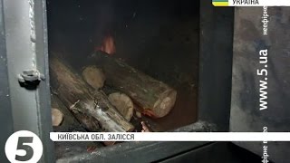 Котел на дровах: дешево та екологічно