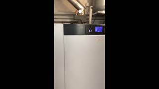 Vitoligno 300c 48kw Viessmann installé par Alix Pett