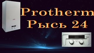 Protherm Рысь 24