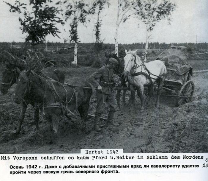 Георг Гундлах. Волховская битва. Документы ужаса 1941 - 1942 год война, история, политика