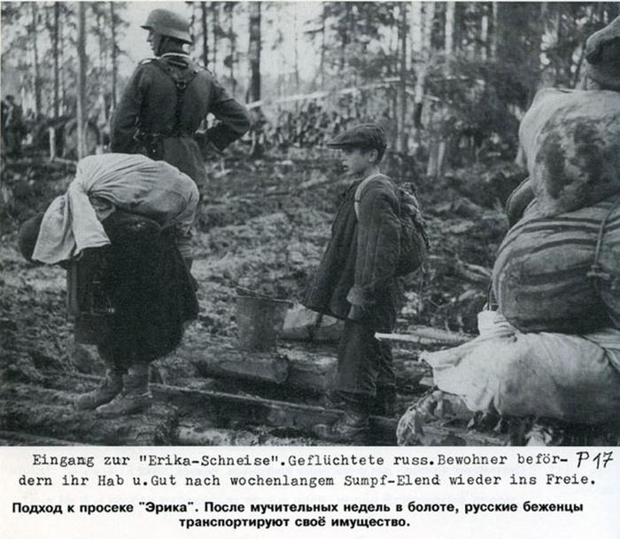 Георг Гундлах. Волховская битва. Документы ужаса 1941 - 1942 год война, история, политика